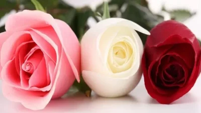 Ingin Jadi Muslimah Berkelas? Ini Akhlak Istri Rasulullah yang Patut Dicontoh